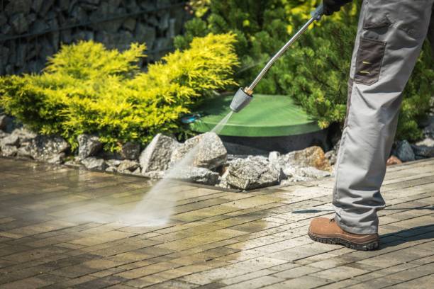 Best Gutter Cleaning and Brightening in Crescent City, FL